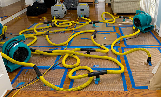 Professional Crawl Space Water Removal technician working in Laupahoehoe, HI
